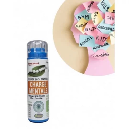 Kosmeo Fleurs de Bach Complexe Charge Mentale Bio Granules x 120