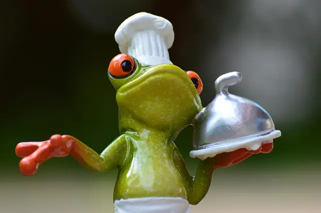 7 astuces pour réduire le gaspillage alimentaire au quotidien