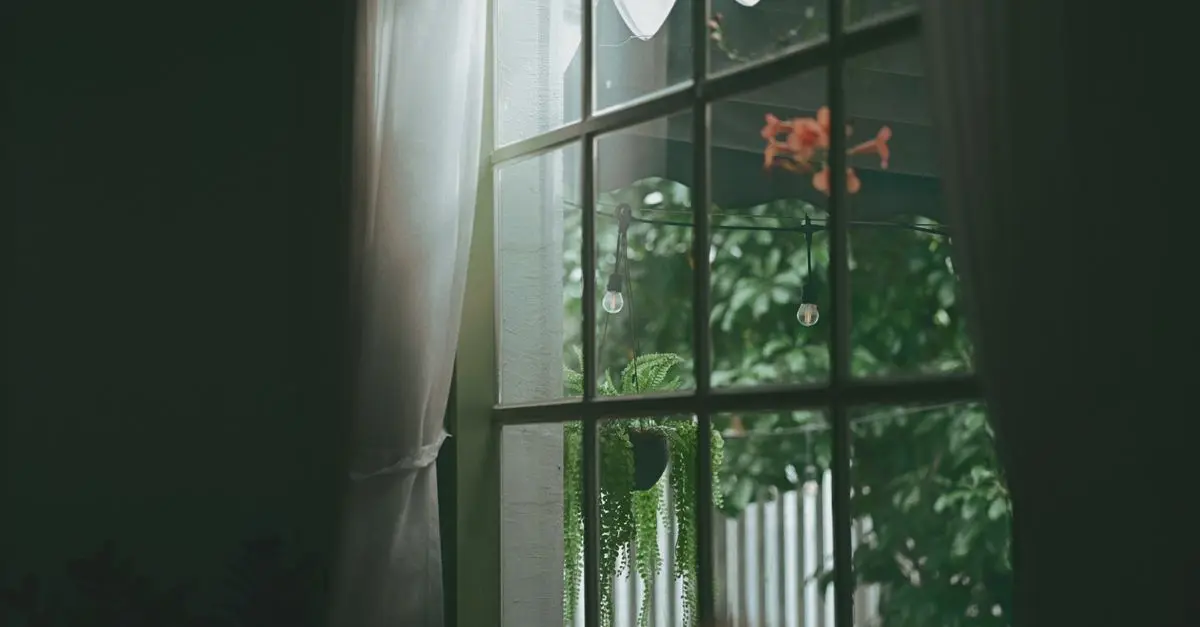 Comment choisir les meilleures plantes d'intérieur pour votre maison
