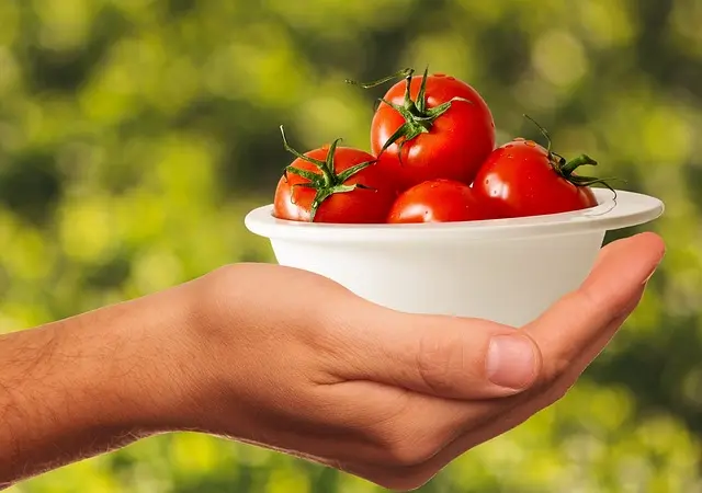Comment préparer des repas sains et rapides pour la semaine