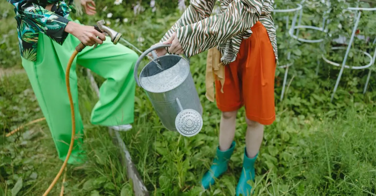 10 astuces pour économiser de l'eau au quotidien