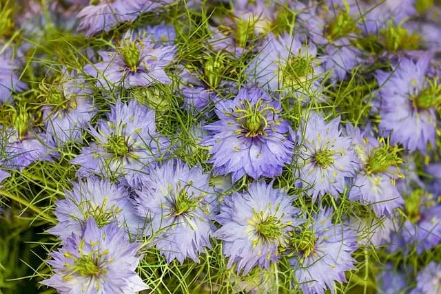 10 astuces pour réussir votre nettoyage de printemps