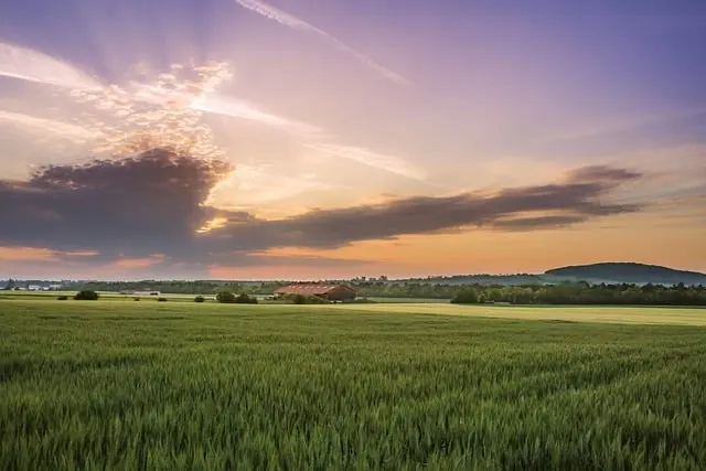 10 astuces pour rendre vos matins plus sereins et efficaces