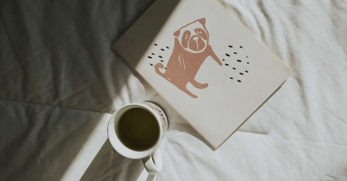 Comment instaurer des routines de bien-être au quotidien