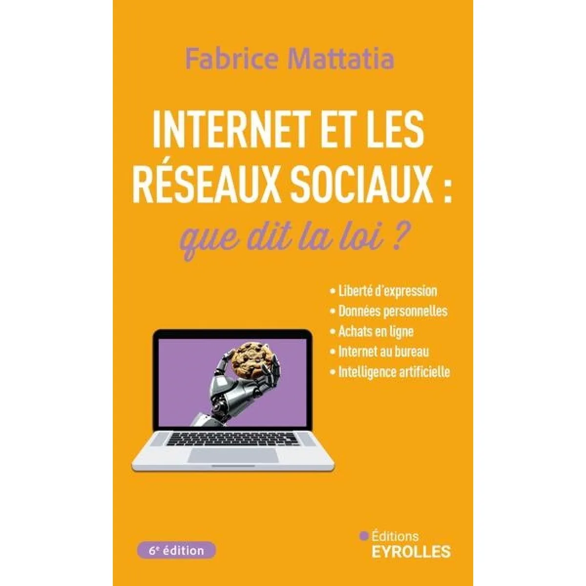 Internet et les réseaux sociaux : que dit la loi ? : liberté d'expression, données personnelles, achats en ligne, Internet au bureau, intelligence artificielle