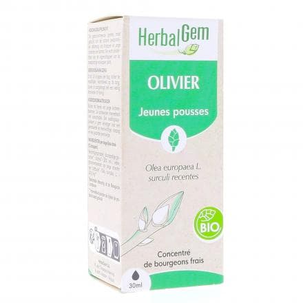 HERBALGEM Concentré de bourgeons frais - Olivier jeunes pousses Bio 30ml